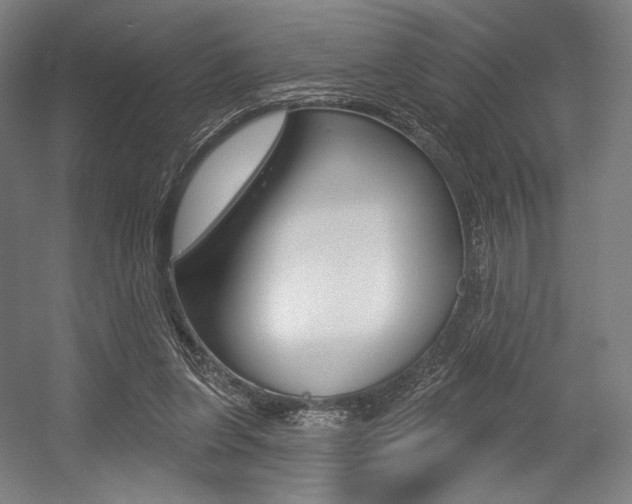 X0000055970255200508190711
