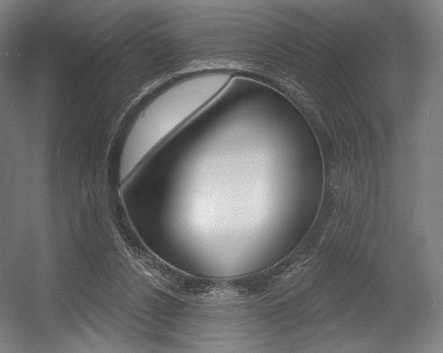 X0000055970256200508190711
