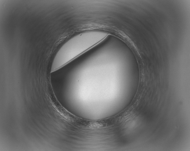 X0000055970257200508190711