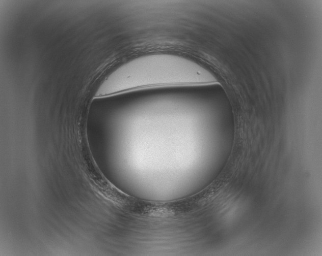 X0000055970258200508190711