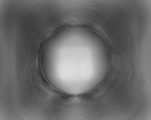 X0000055970259200508190711