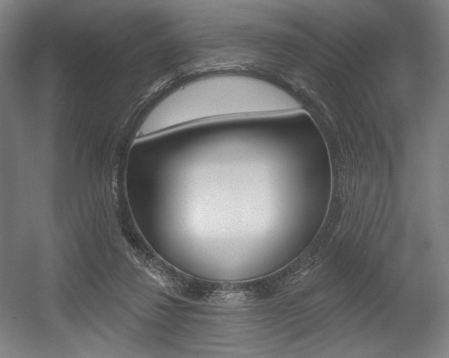 X0000055970260200508190711