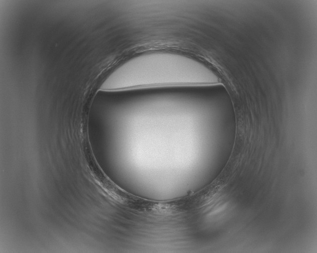 X0000055970261200508190711