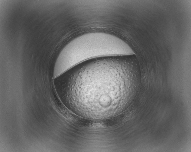 X0000055970262200508190711