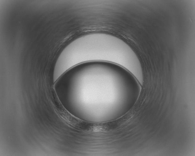 X0000055970264200508190711