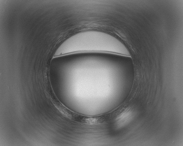 X0000055970265200508190711