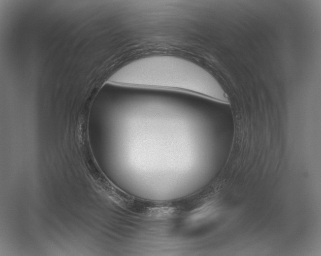 X0000055970266200508190711