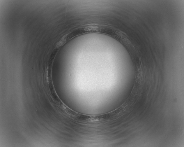X0000055970267200508190711