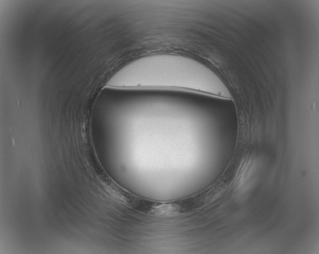 X0000055970269200508190711