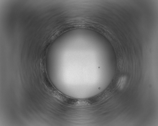 X0000055970270200508190711