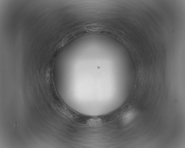 X0000055970271200508190711