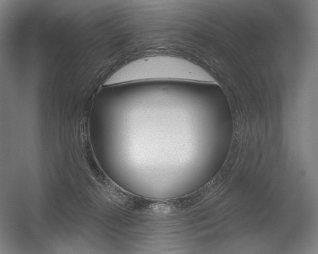 X0000055970272200508190711