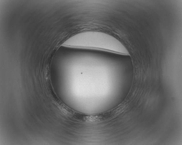 X0000055970273200508190711