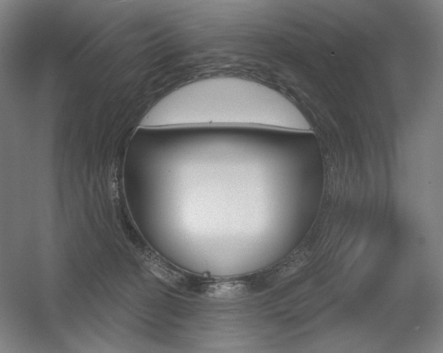 X0000055970274200508190711
