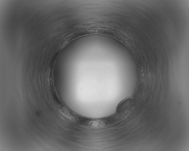 X0000055970275200508190711