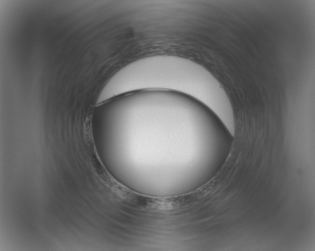 X0000055970276200508190711