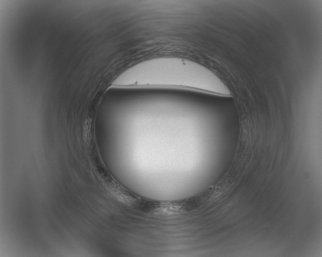 X0000055970278200508190711