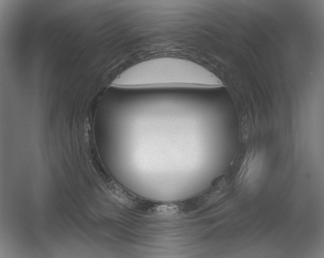 X0000055970279200508190711
