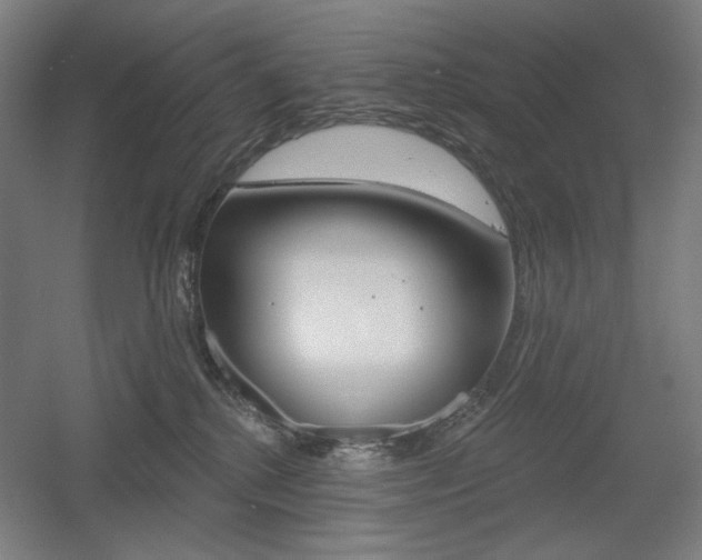 X0000055970280200508190711