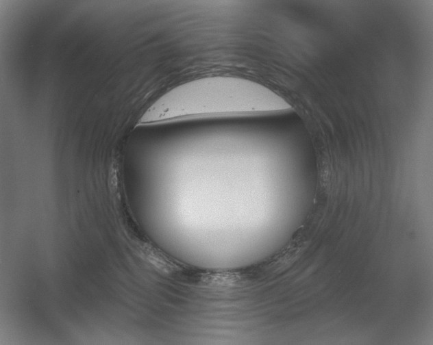 X0000055970282200508190711