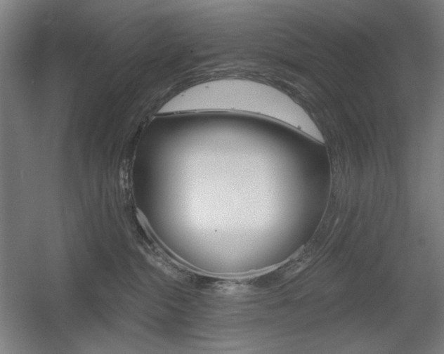 X0000055970284200508190711