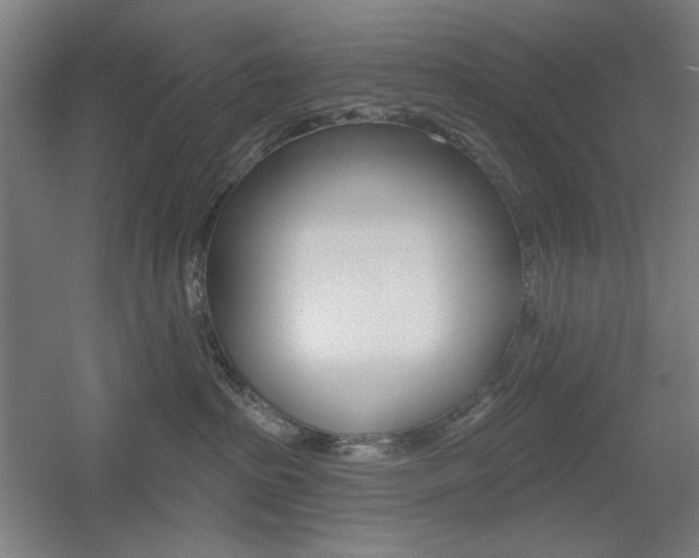 X0000055970285200508190711