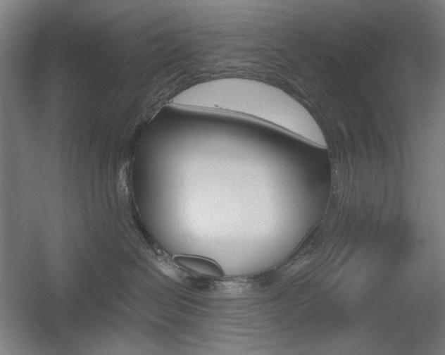 X0000055970286200508190711