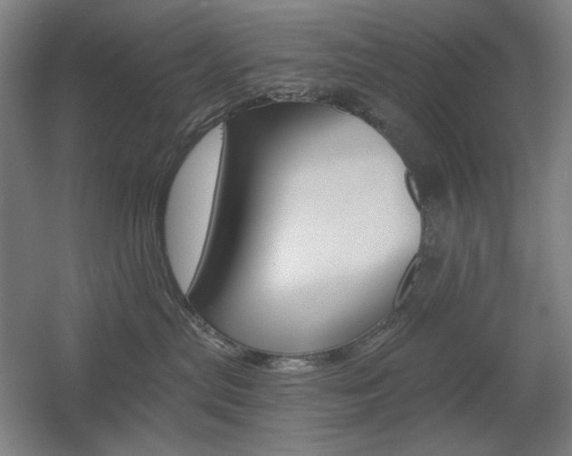 X0000055970287200508190711