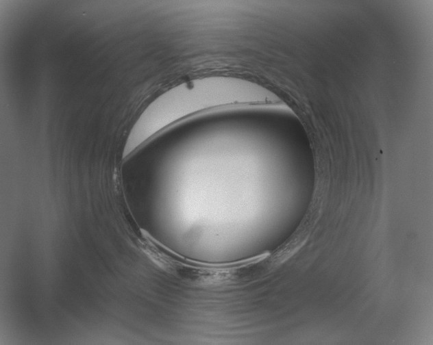 X0000055970288200508190711