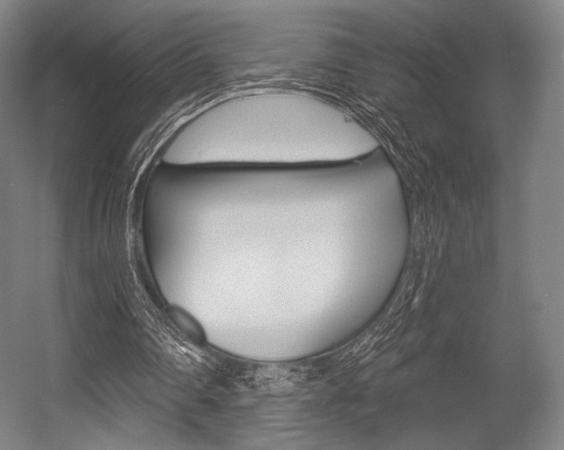 X0000055970290200508190710