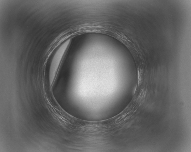X0000055970291200508190710