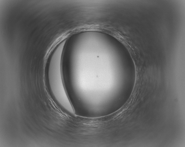 X0000055970293200508190710