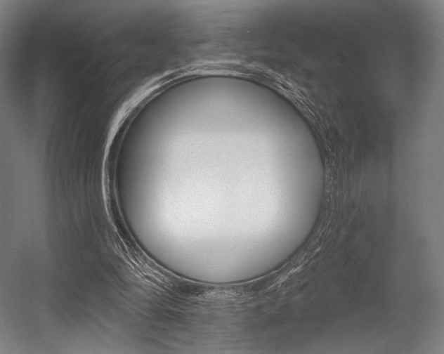 X0000055970294200508190710