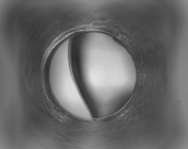 X0000055970295200508190710
