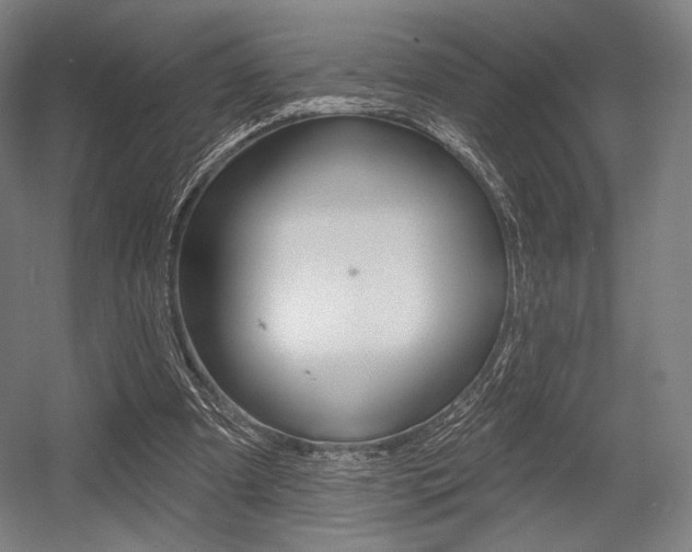 X0000055970297200508190710