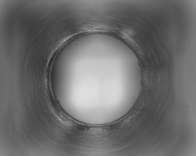 X0000055970298200508190710