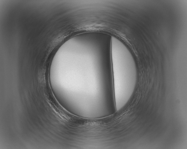 X0000055970299200508190710