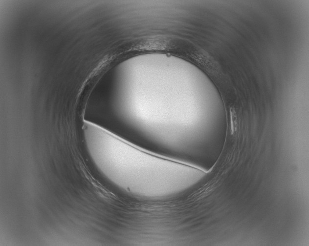 X0000055970300200508190710