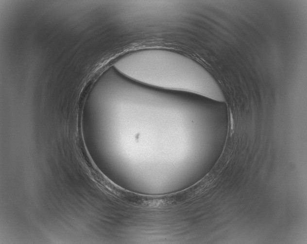 X0000055970301200508190710