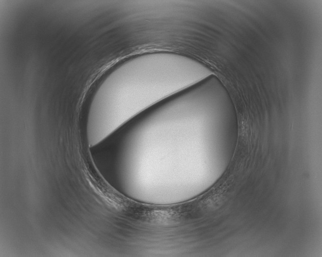 X0000055970302200508190710