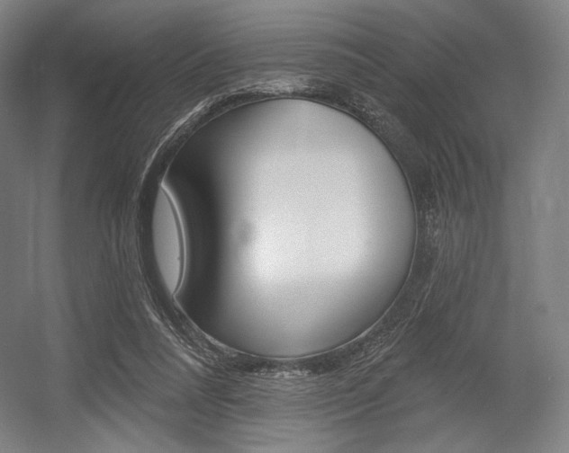 X0000055970304200508190710