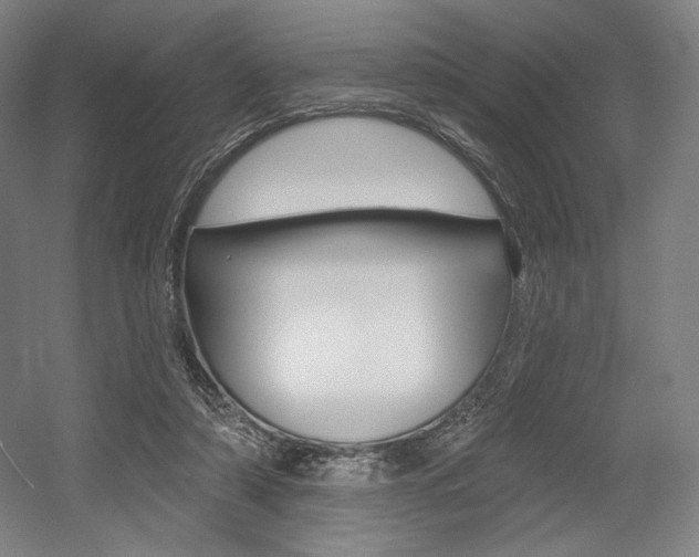 X0000055970306200508190710