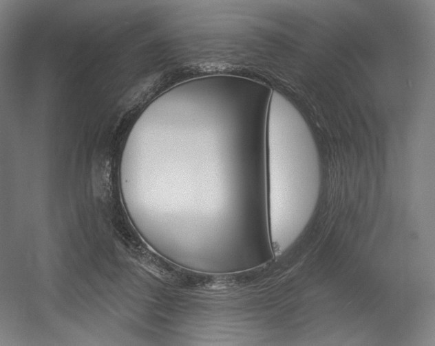 X0000055970308200508190710