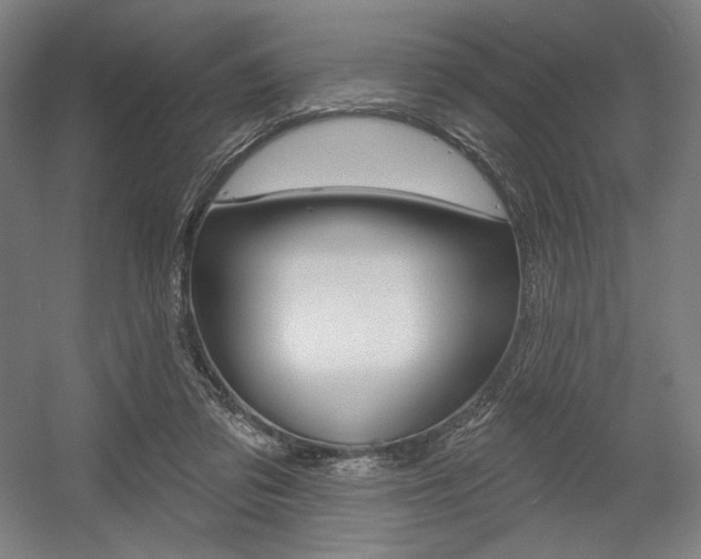 X0000055970309200508190710