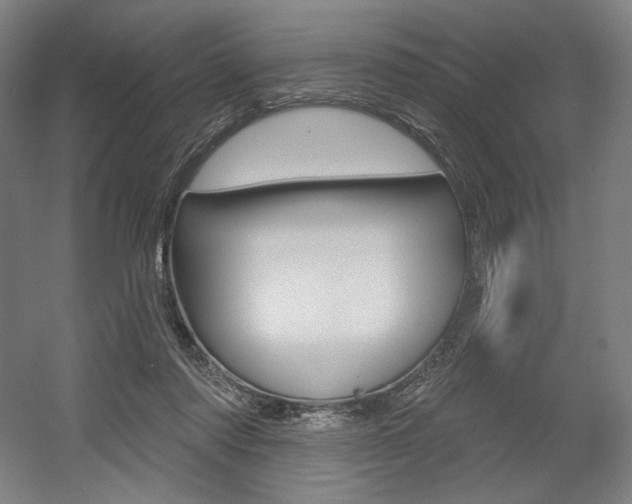 X0000055970310200508190710