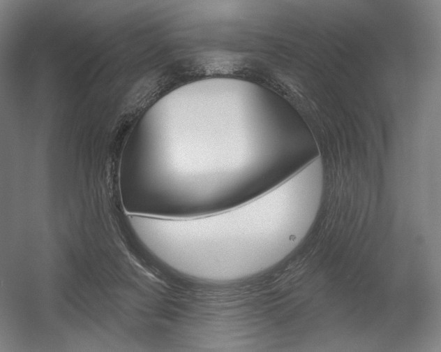 X0000055970311200508190710