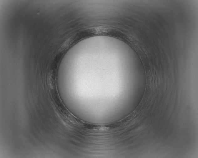 X0000055970316200508190710