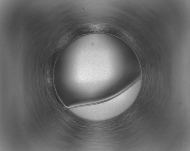 X0000055970317200508190710