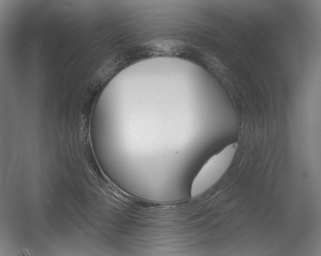 X0000055970318200508190710