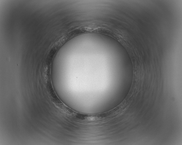 X0000055970319200508190710
